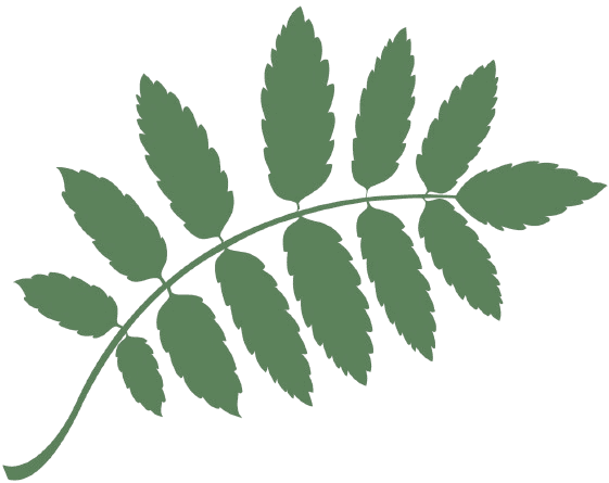 green leaf logo